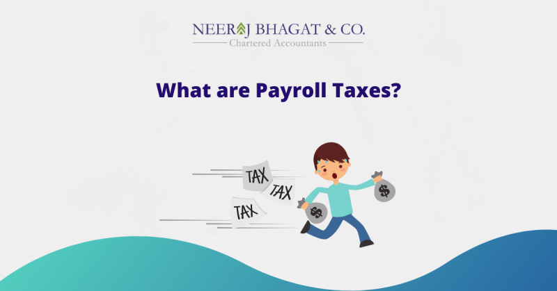 What are Payroll Taxes?
