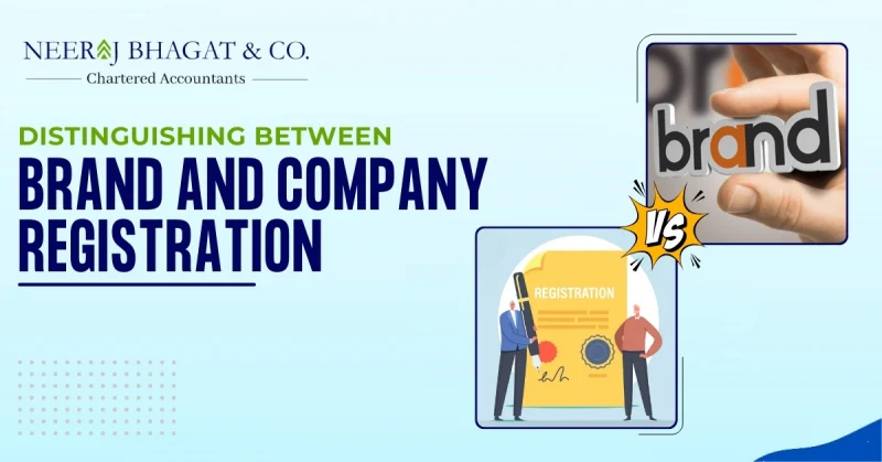 Distinguishing Between Brand and Company Registration